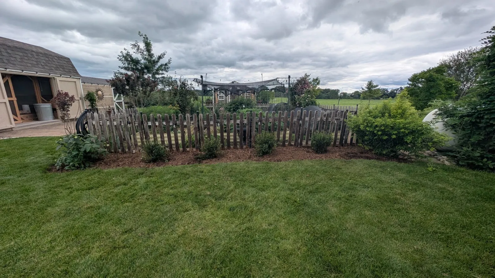 Freshly mulched bed with young shrubs along a wooden picket fence, with a mowed lawn in front